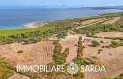 Aglientu, Sardinia 07020