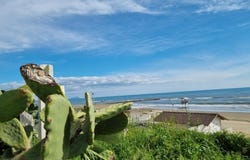 Nettuno, Lazio 00048