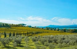 Tuoro sul Trasimeno, Umbria 06069