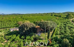 Vetralla, Lazio 01019