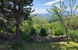 Pergola, Marche 61045