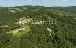 Scansano, Tuscany 58054