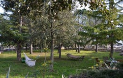 Locorotondo, Apulia 70010