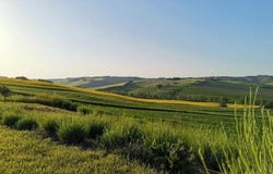 Cingoli, Marche 62011
