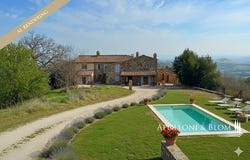 Torrita di Siena, Toscana|Tuscany 53049