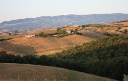 Grosseto, Tuscany 58100