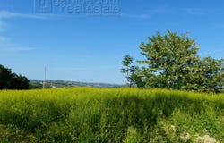 Sant'Ippolito, Marche 61040