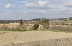 Torrita di Siena, Tuscany 53049