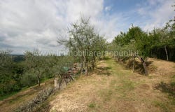 Scrofiano, Tuscany 53048