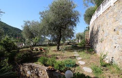 Strada Canove, Vallebona, Liguria 18012