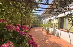 Bolsena, Lazio 01023