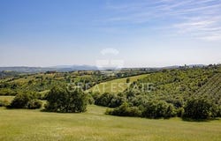 Campagnatico, Grosseto