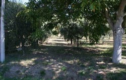 Tuoro Sul Trasimeno, Umbria