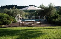 Montespertoli, Tuscany 50025