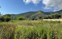Toirano, Liguria 17055