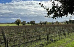 Grosseto, Tuscany 58100