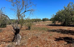 Ostuni, Apulia 72017