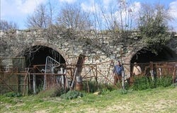Asciano, Tuscany 53041