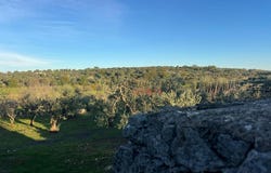 Ostuni, Apulia 72017