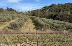 Castelnuovo Berardenga, Toscana|Tuscany