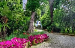 Capannori, Tuscany 55012