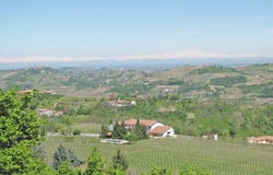 Canelli, The Piedmont 14053