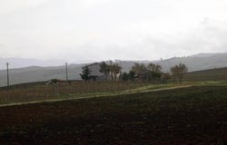 Cinigiano, Tuscany 58044