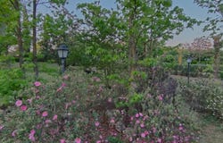 Capranica, Lazio 01012
