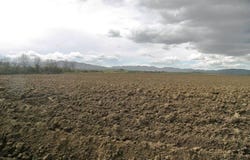 Grosseto, Tuscany 58100
