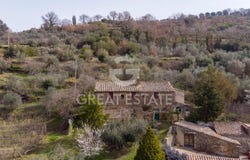 Montalcino, Tuscany 53024