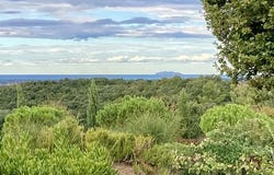 Cecina, Toscana|Tuscany
