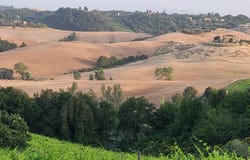 Castelnuovo Berardenga, Tuscany 53019