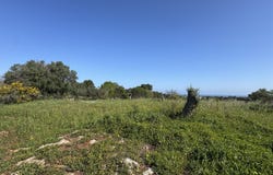Carovigno, Apulia 72012