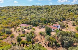 Aglientu, Sardinia 07020