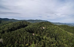 Arezzo, Tuscany 52100