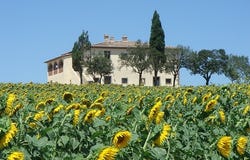 Arezzo, Tuscany 52100