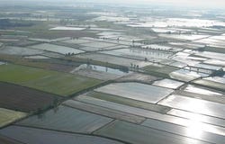 Mortara, Lombardy 27036