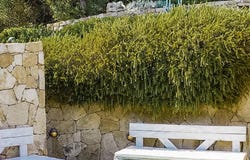 Arzachena, Sardinia 07021