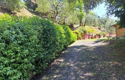 Castagneto Carducci, Tuscany 57022
