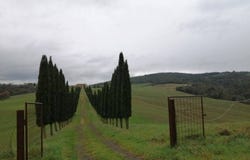 Siena, Tuscany 53100