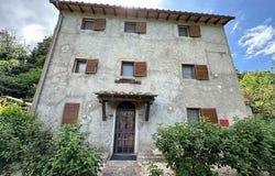 sassetta, Toscana|Tuscany