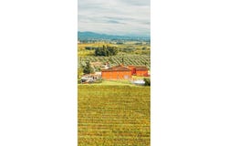 Lastra a Signa, Toscana|Tuscany 50055