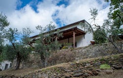 Calci, Tuscany 56011