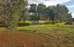 Carovigno, Apulia 72012