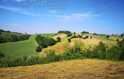 Terre Roveresche, Marche 61040