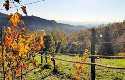 Roccastrada, Tuscany 58036