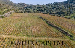 Oliena, Sardinia 08025