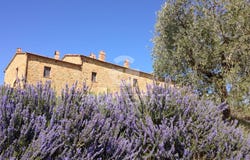 Trequanda, Tuscany 53020
