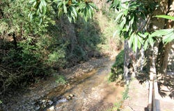 Lamporecchio, Tuscany 51035