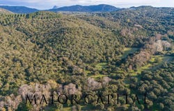 Padru, Sardinia 07020
